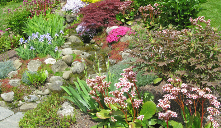 Trend Alert: Lush, Low-Maintenance Gardens
